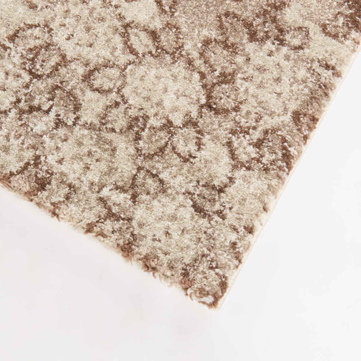 Reyes Botanical Motif Area Rug