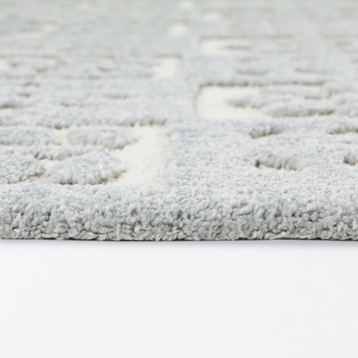 Hayden Checkered Floral Area Rug