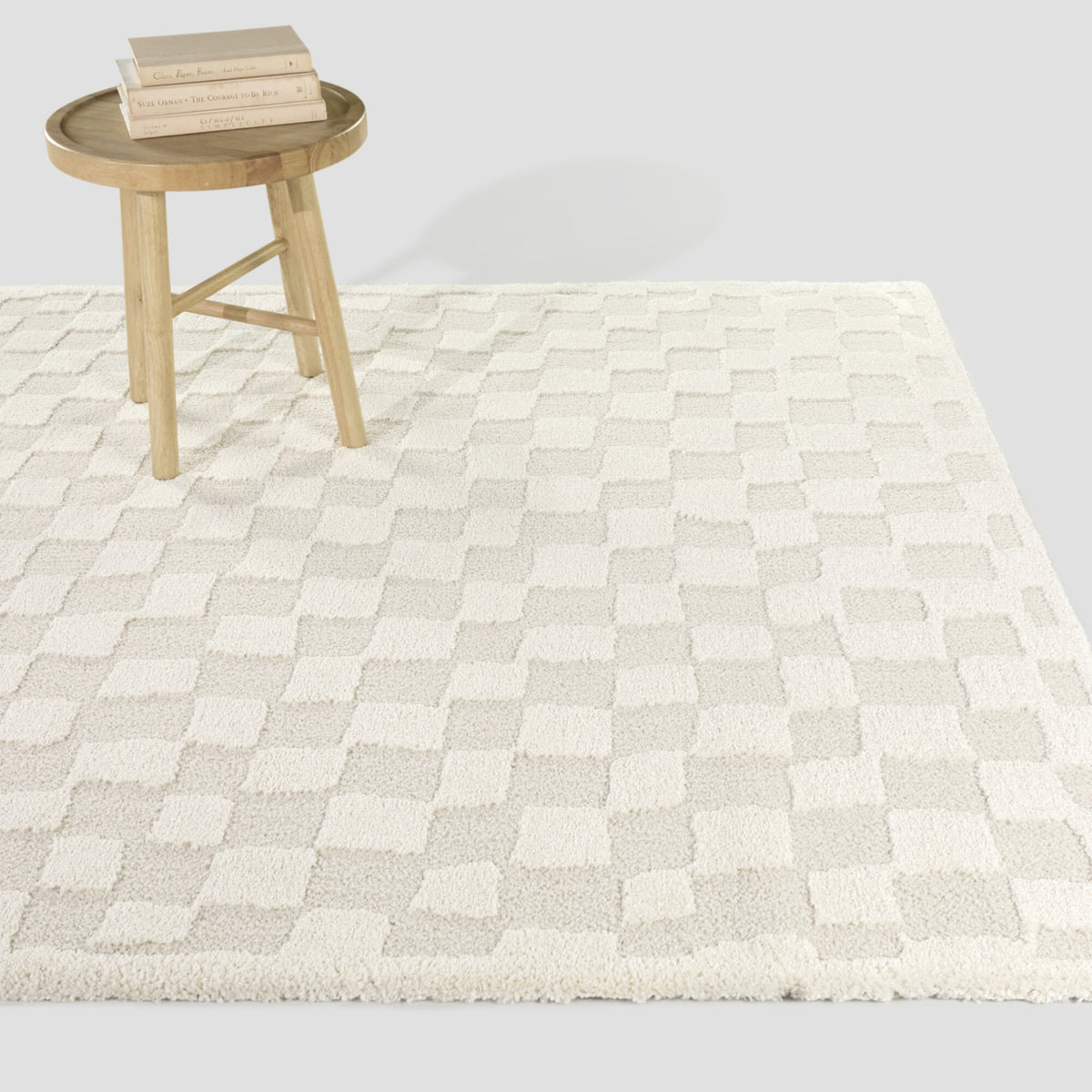 Bingham Checkered Area Rug
