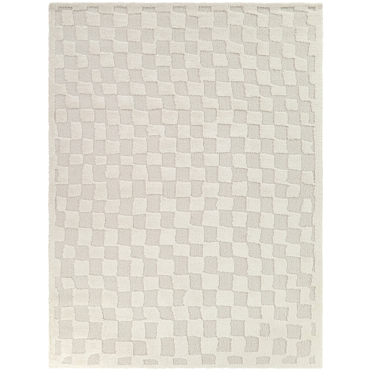Bingham Checkered Area Rug
