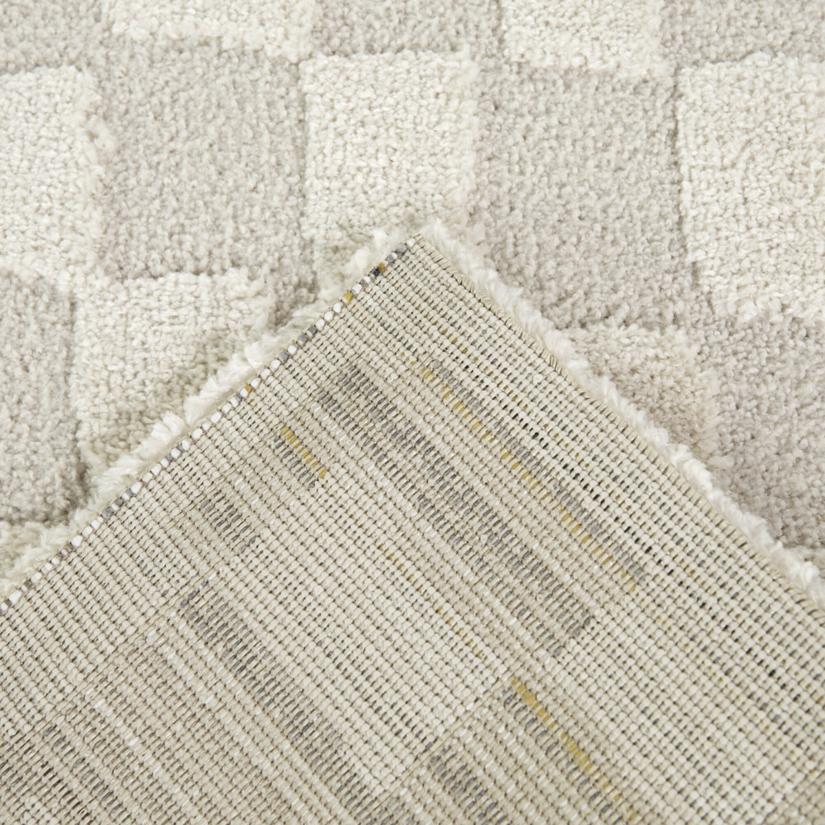 Bingham Checkered Area Rug