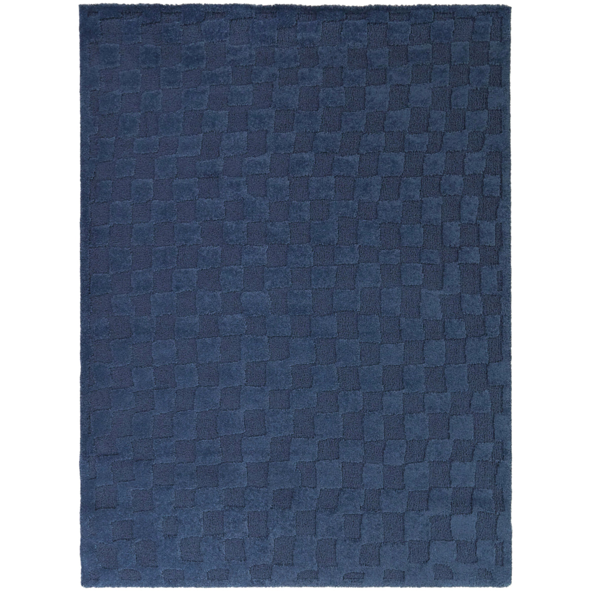 Bingham Checkered Area Rug