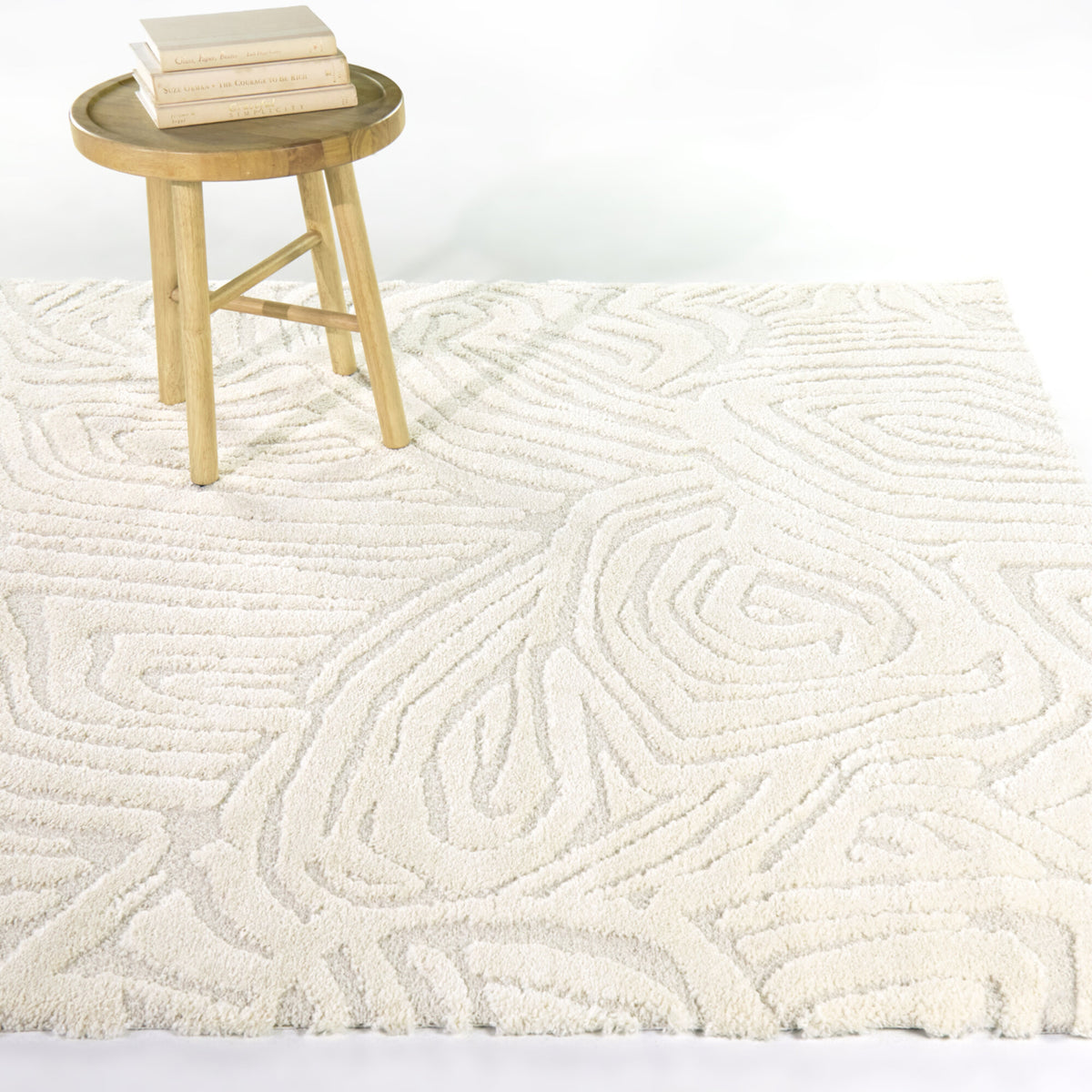 Beauchamp Abstract Textured  Area Rug