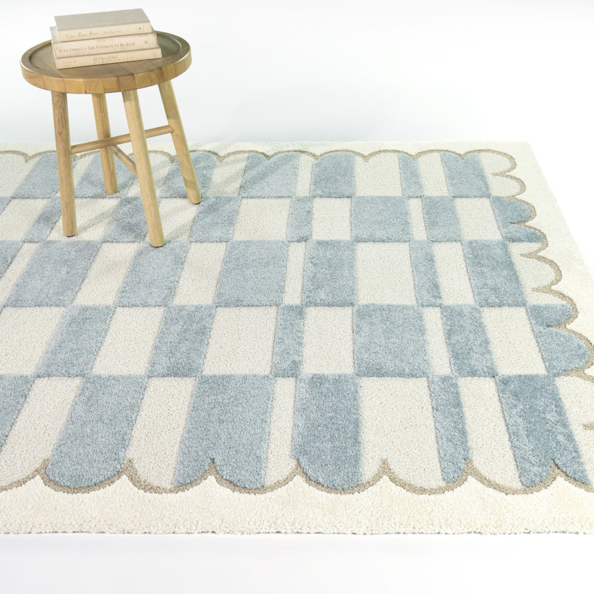 Sylvester Checkered Color Block Area Rug