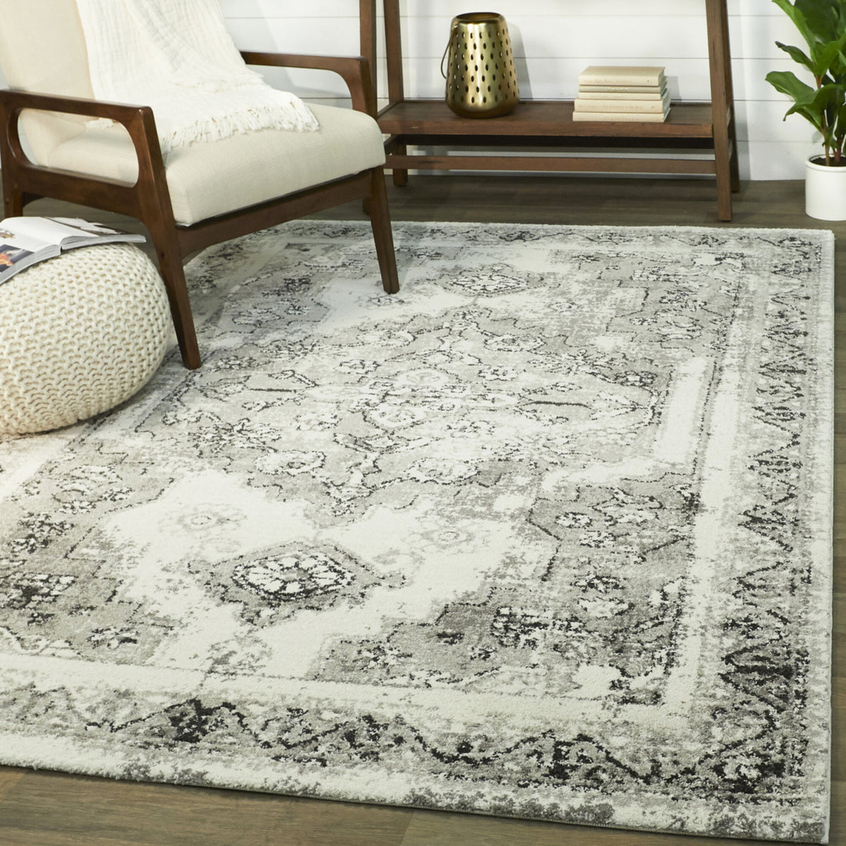 Appert Vintage Traditional Area Rug