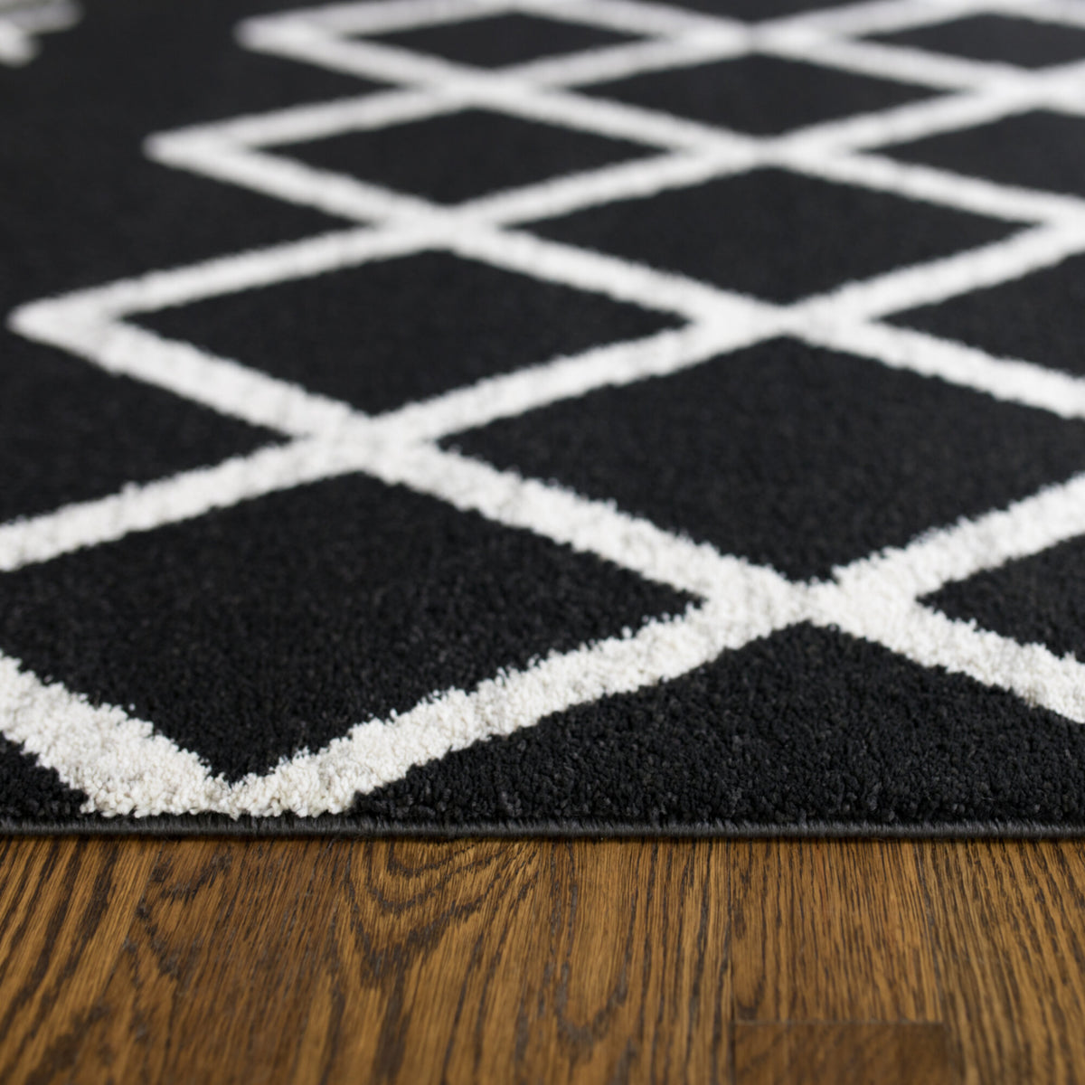 Arman Transitional Trellis Area Rug