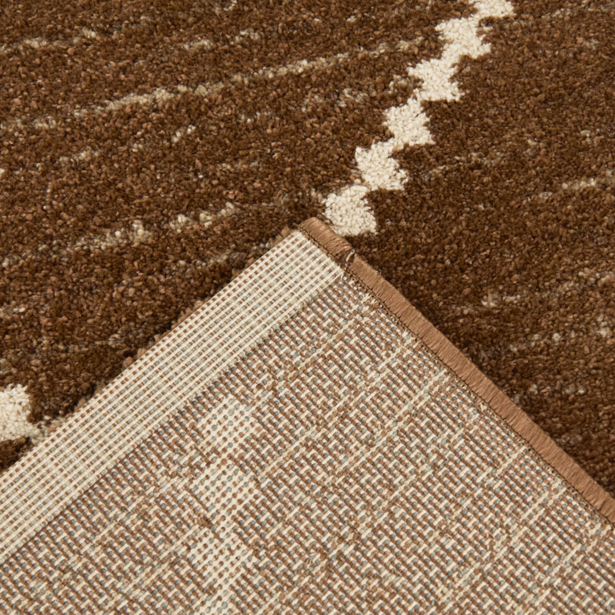 Oscar Transitional Trellis Area Rug