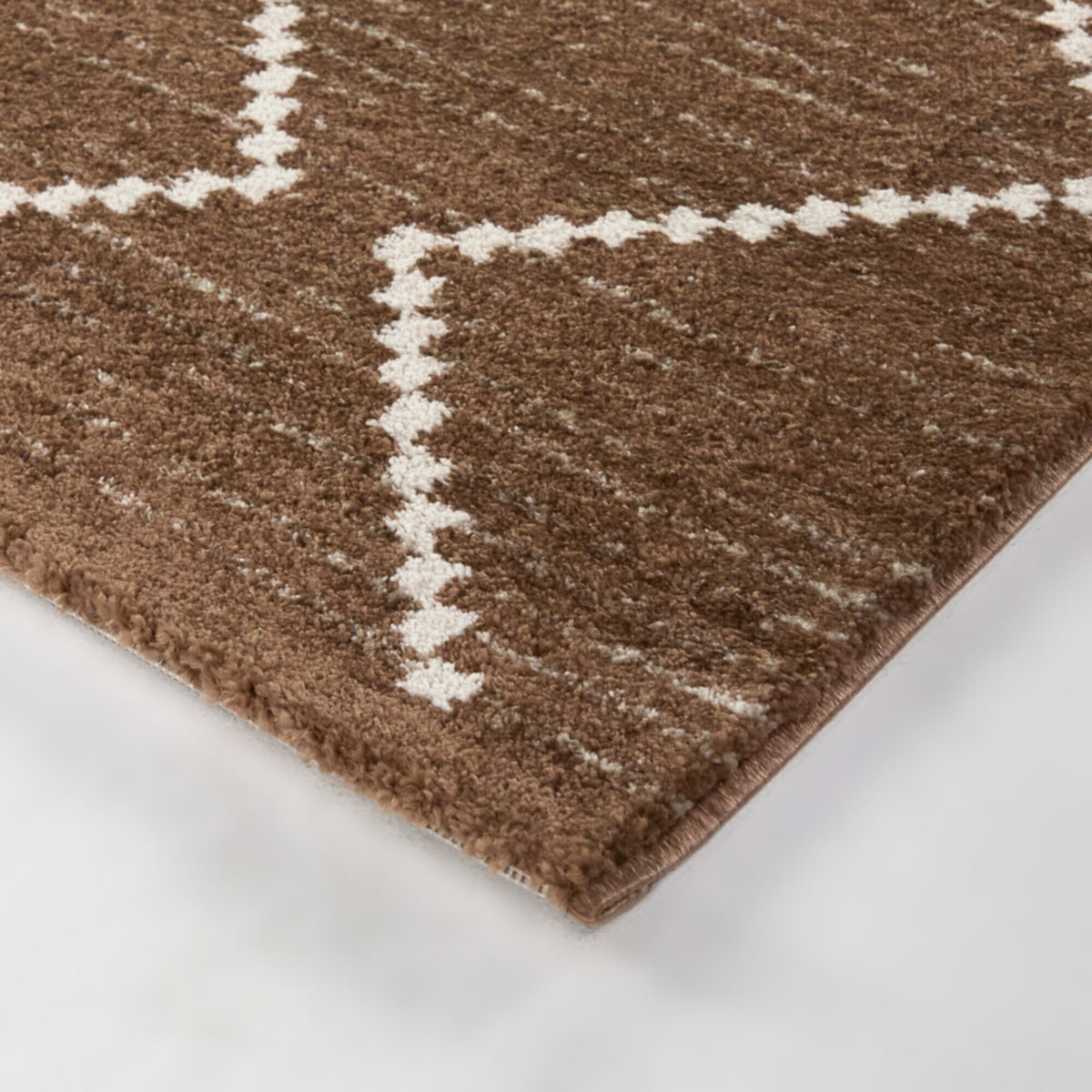Oscar Transitional Trellis Area Rug
