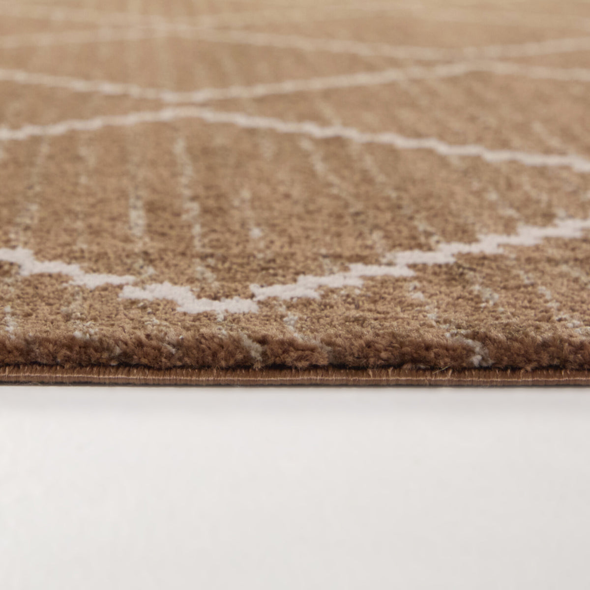 Oscar Transitional Trellis Area Rug