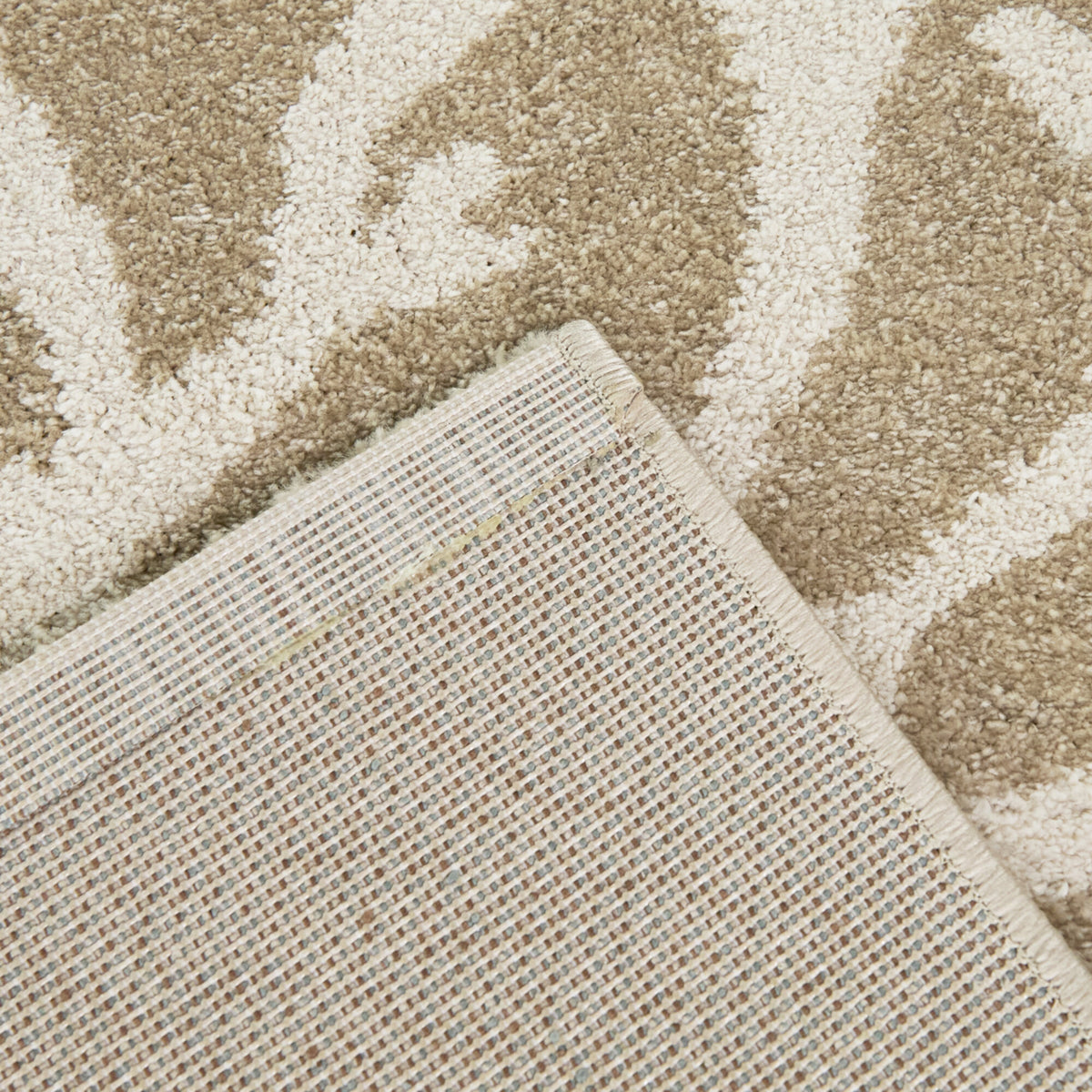 Caistor Coastal Coral Print Area Rug