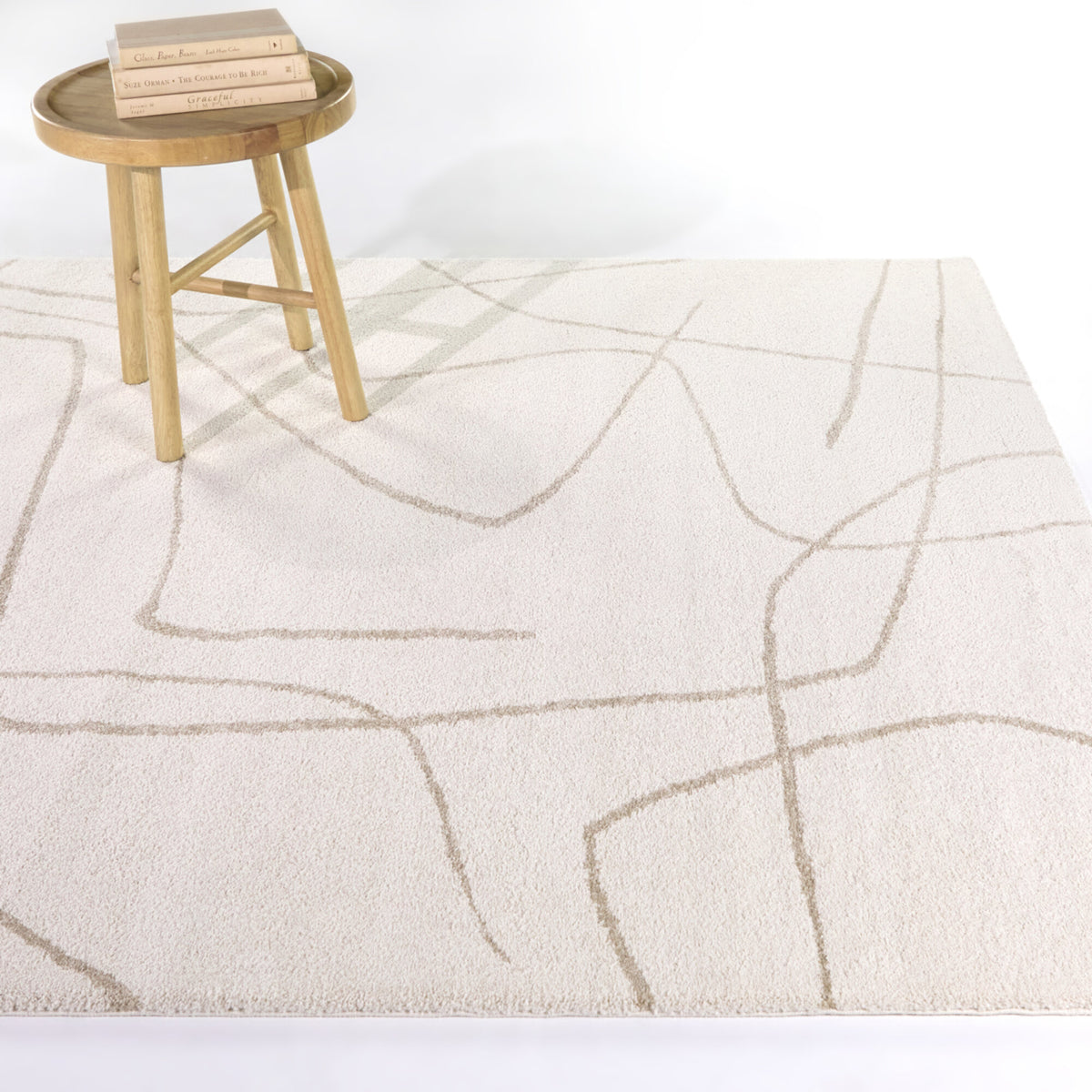 Descartes Abstract Modern Area Rug
