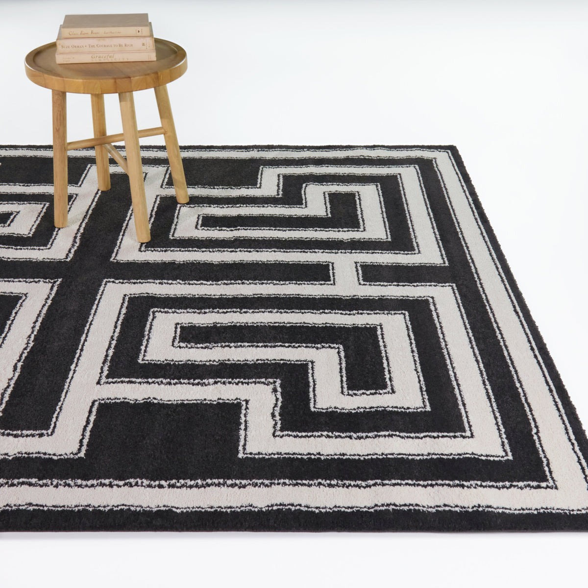 Segall Contemporary Geometric Area Rug