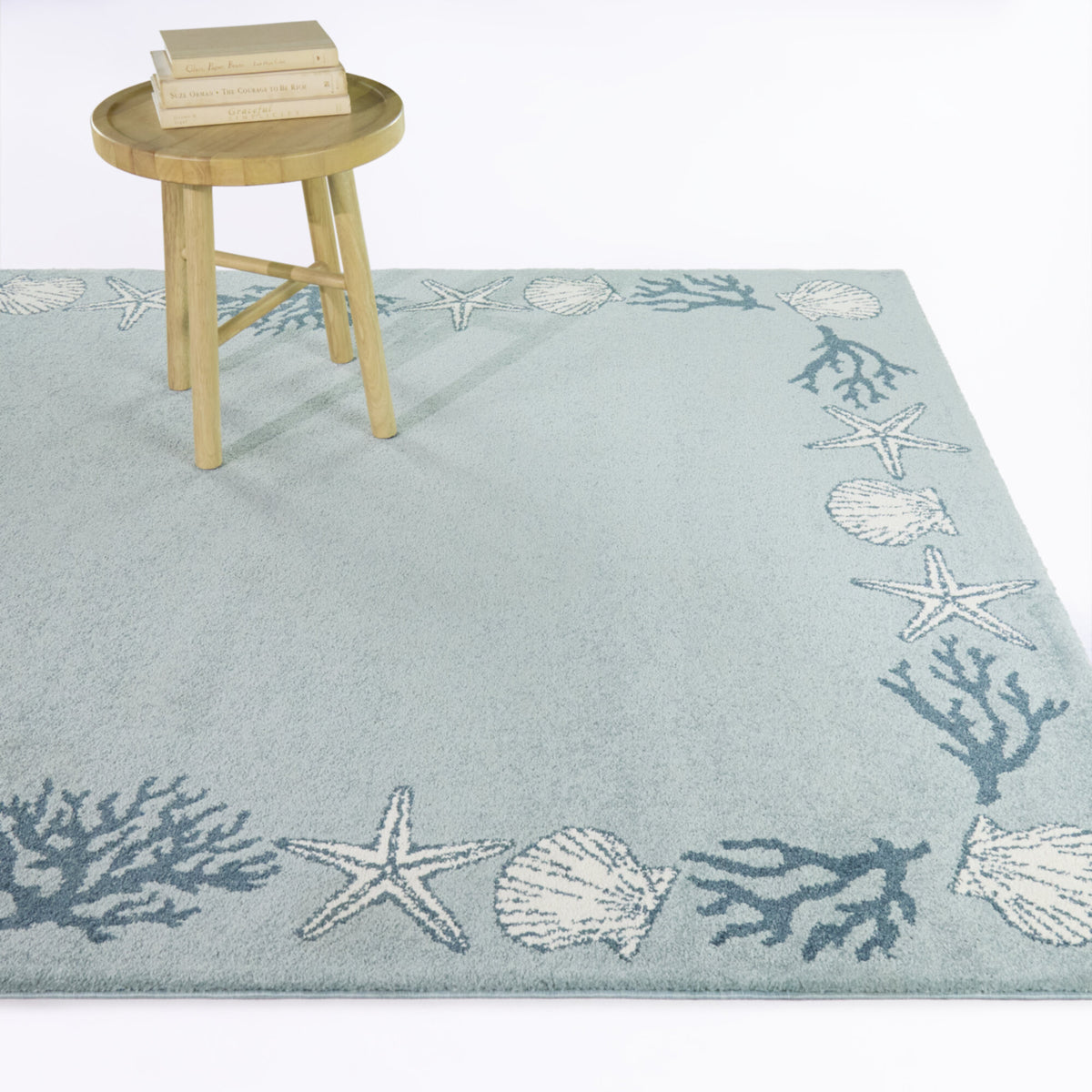 Annalise Coastal Border Area Rug