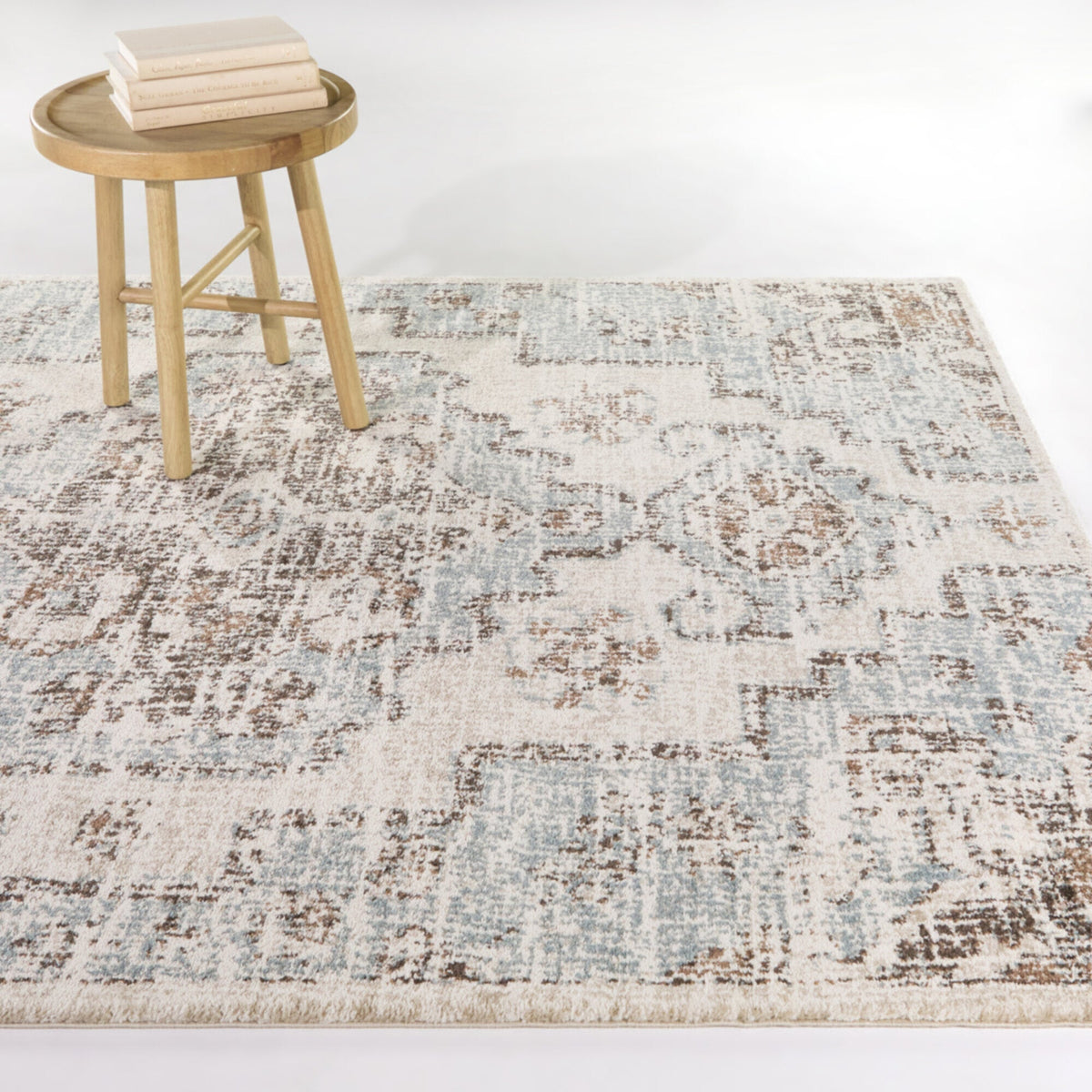 Wolcott Traditional Area Rug