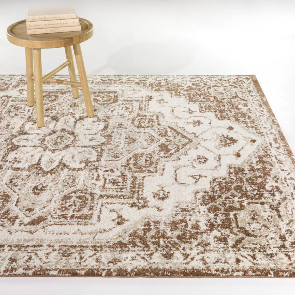 Zolina Traditional Area Rug