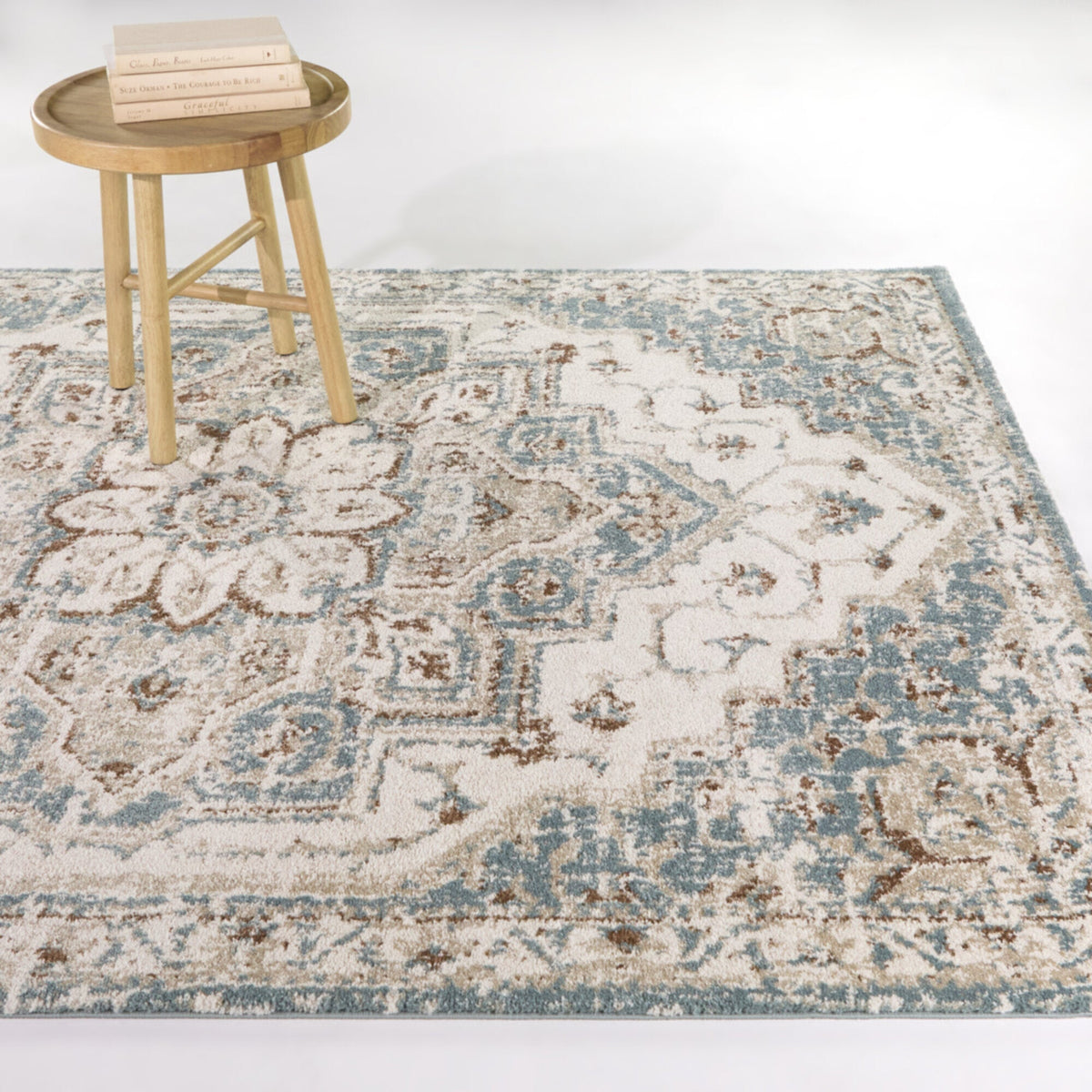 Zolina Traditional Area Rug