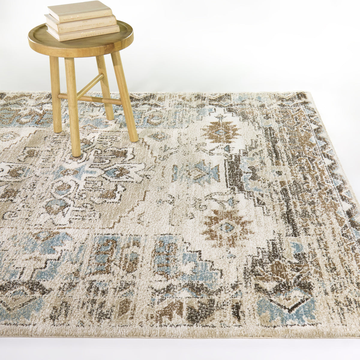 Louise Southwestern Traditional  Area Rug