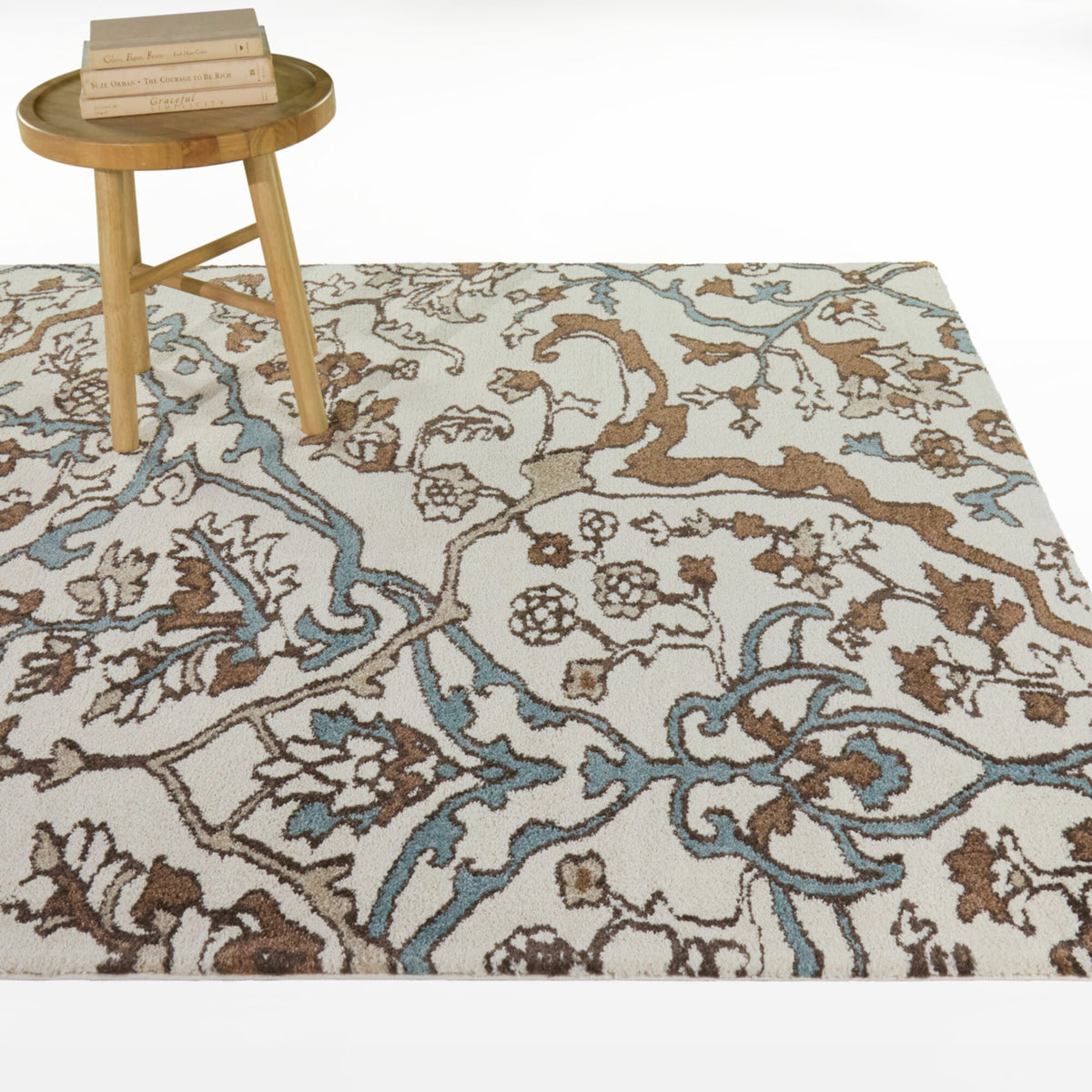 Lucania Floral Transitional  Area Rug