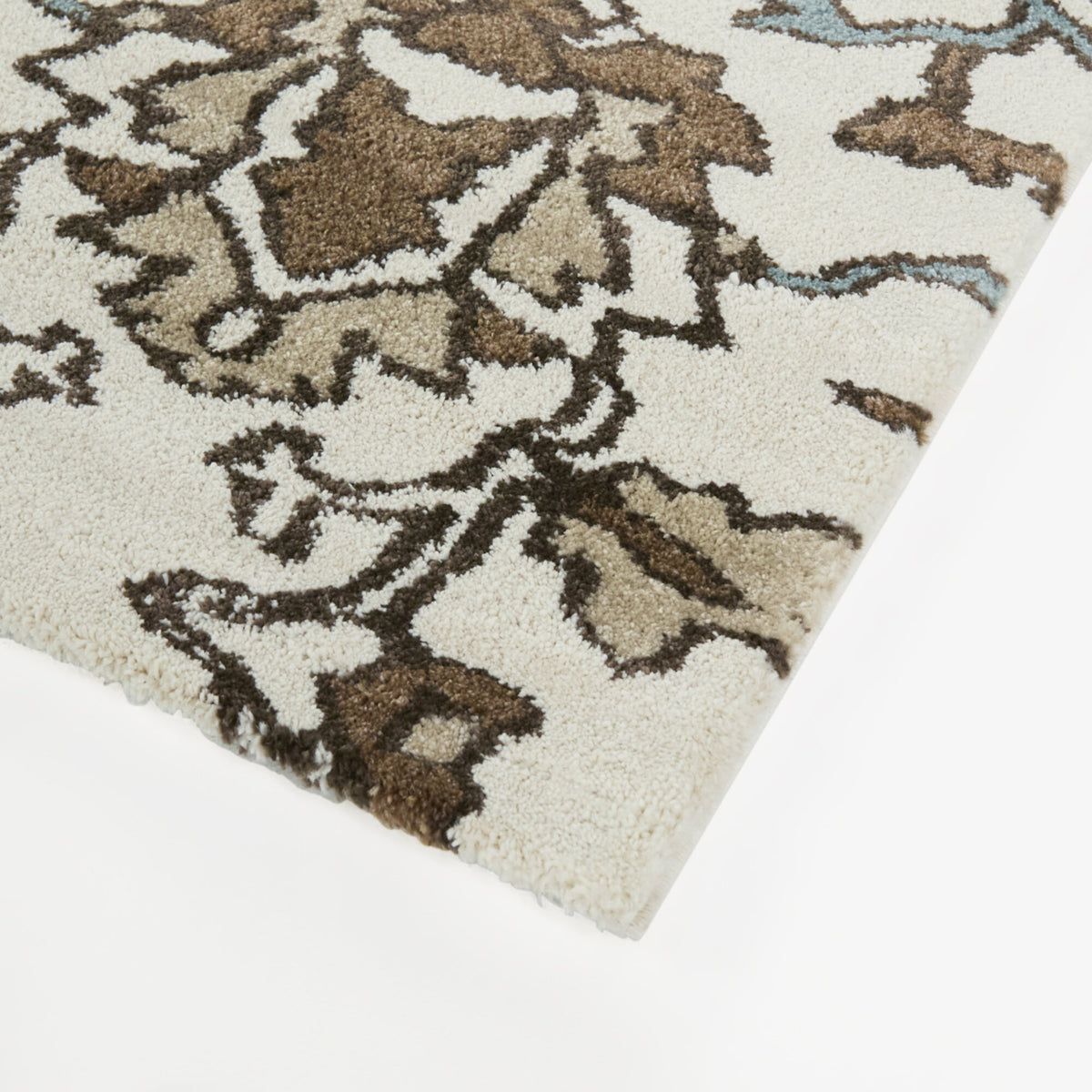 Lucania Floral Transitional  Area Rug
