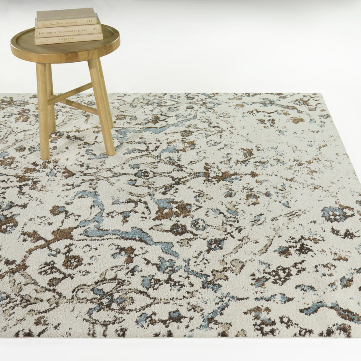 Ptolemy Distressed Transitional  Area Rug