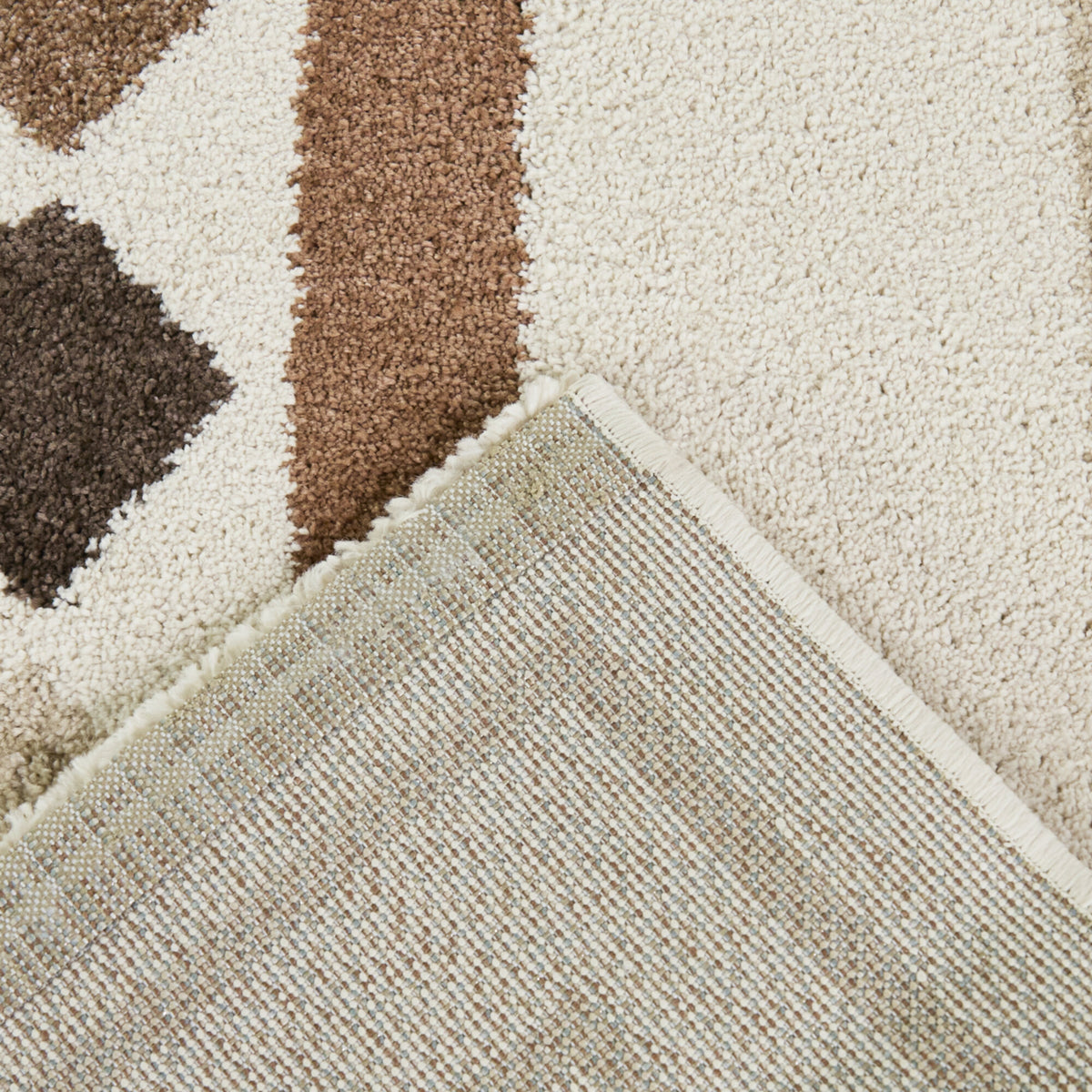 Beisel Southwestern Modern  Area Rug