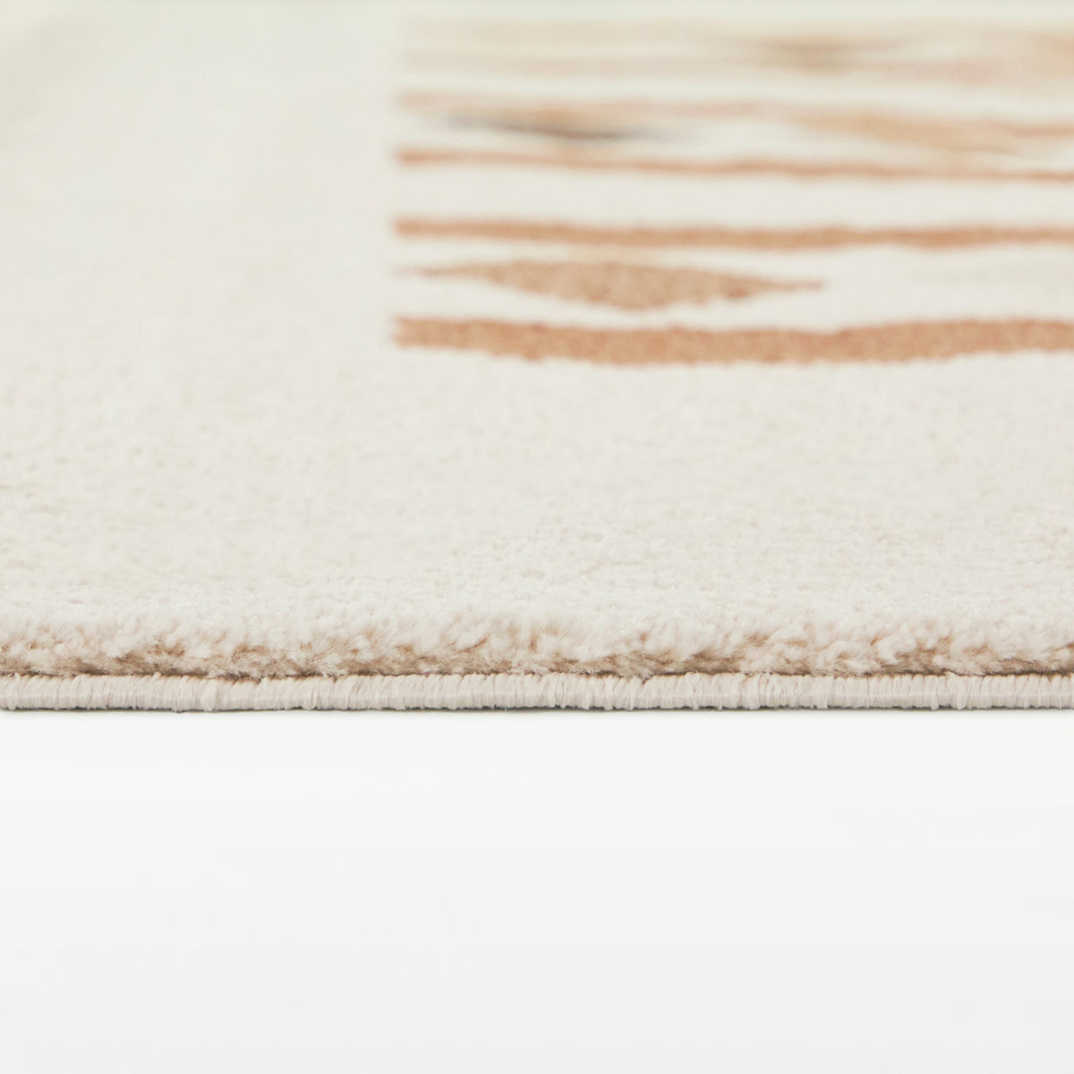 Beisel Southwestern Modern  Area Rug