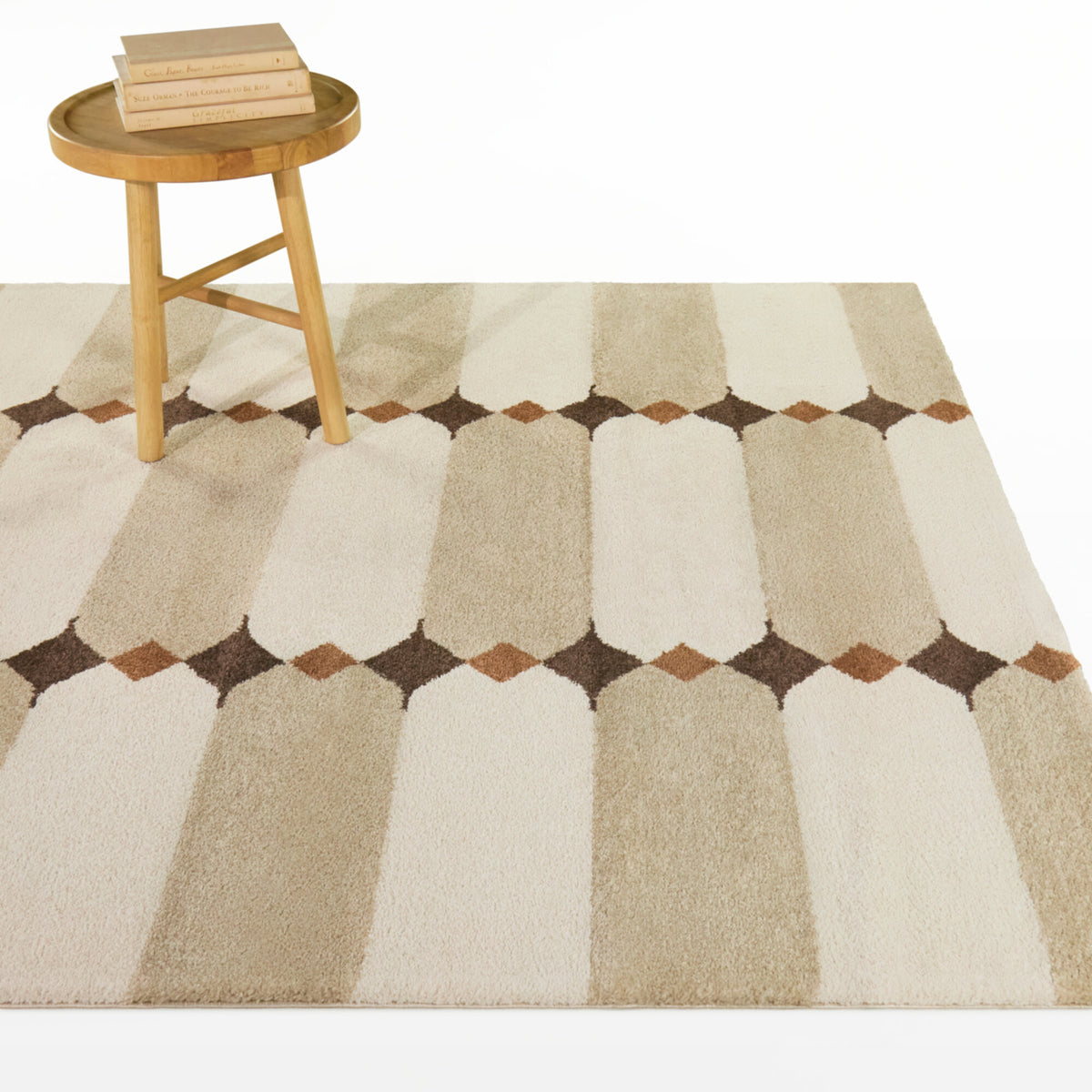 Barlow Southwest Modern  Area Rug