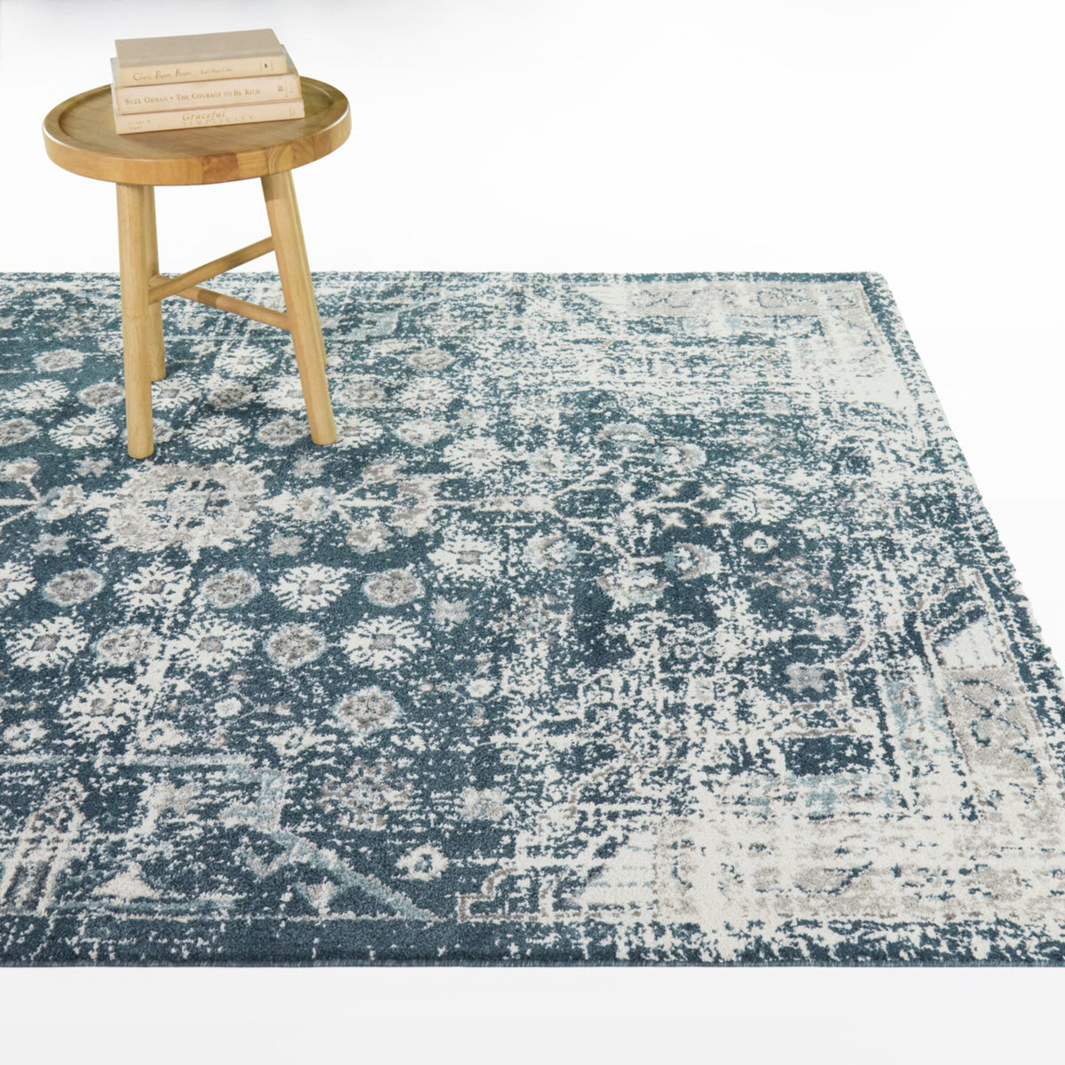 Bastian Distressed Traditional  Area Rug