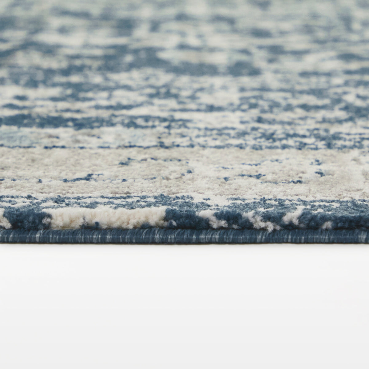 Bastian Distressed Traditional  Area Rug