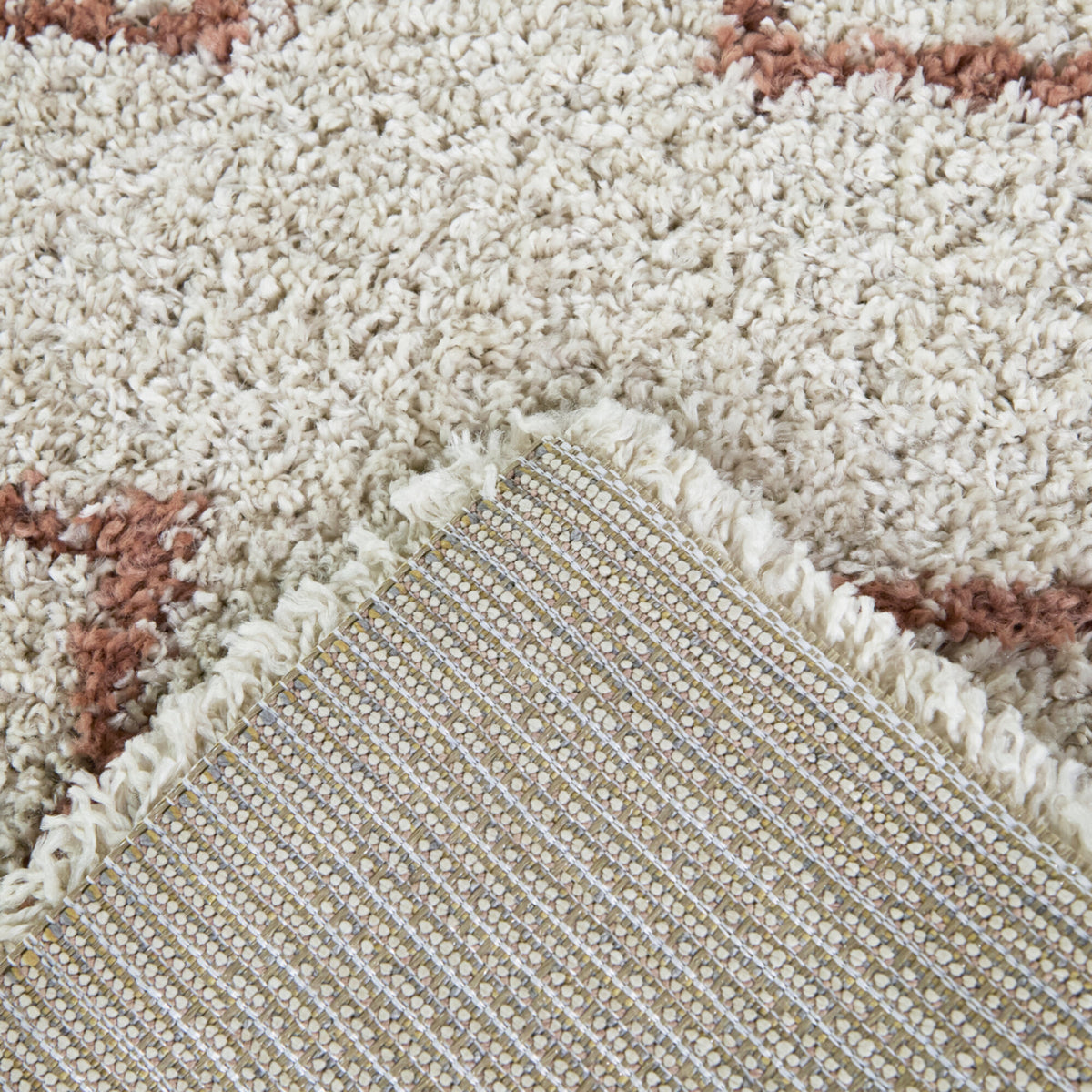 Pariser Transitional  Area Rug