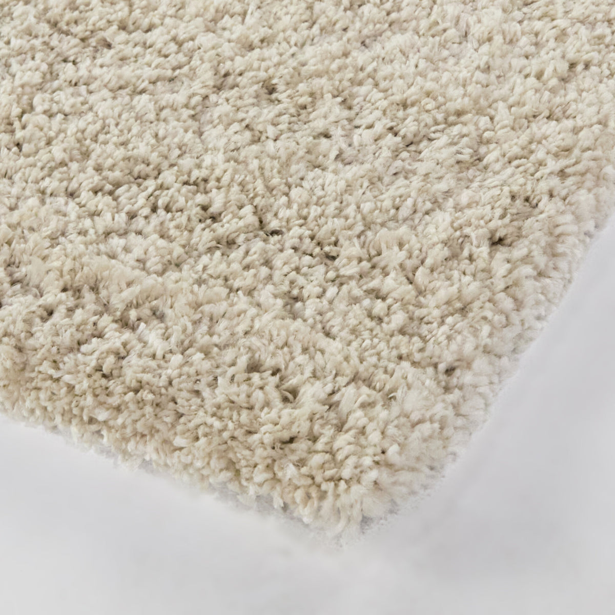 Gardner Modern Floral Area Rug