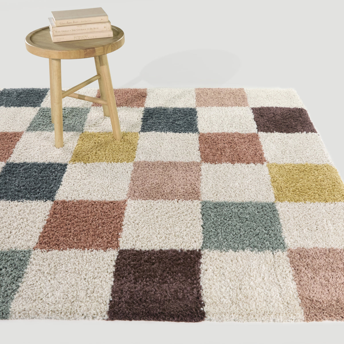 Cavalcanti Checkered Shag Area Rug