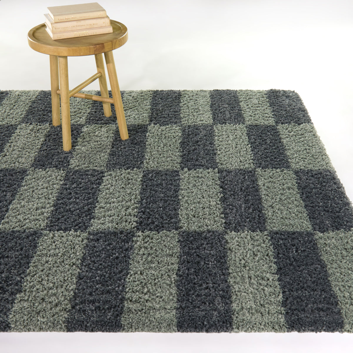 Dixon Checkered Shag  Area Rug