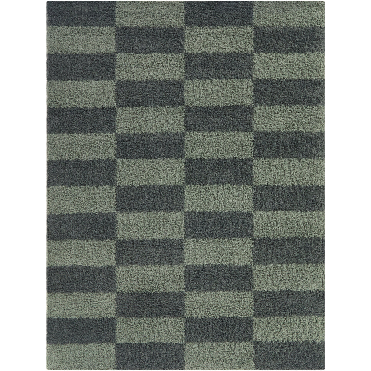 Dixon Checkered Shag  Area Rug