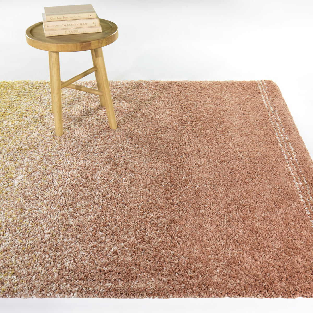Cybele Gradient Shag  Area Rug