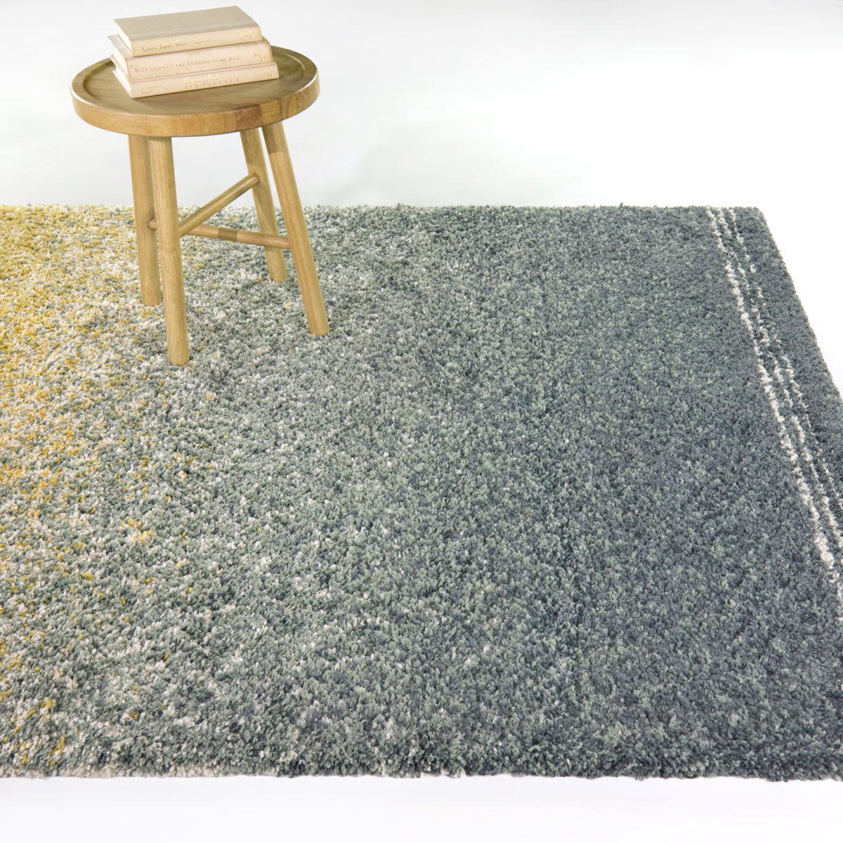 Cybele Gradient Shag  Area Rug