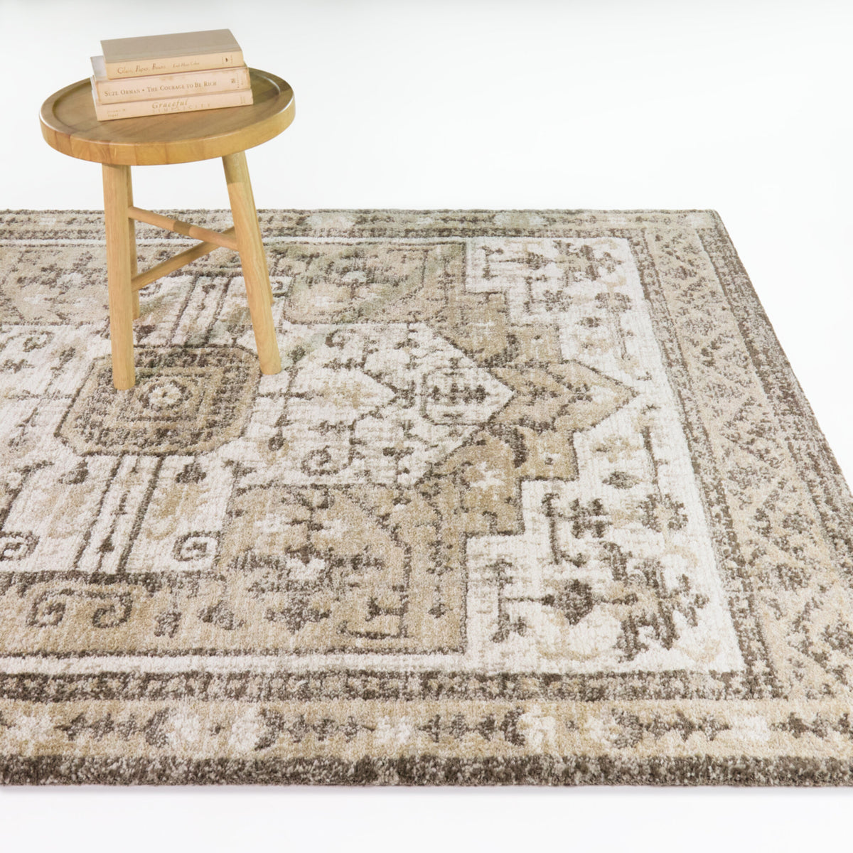 Atkins Traditional Medallion Area Rug
