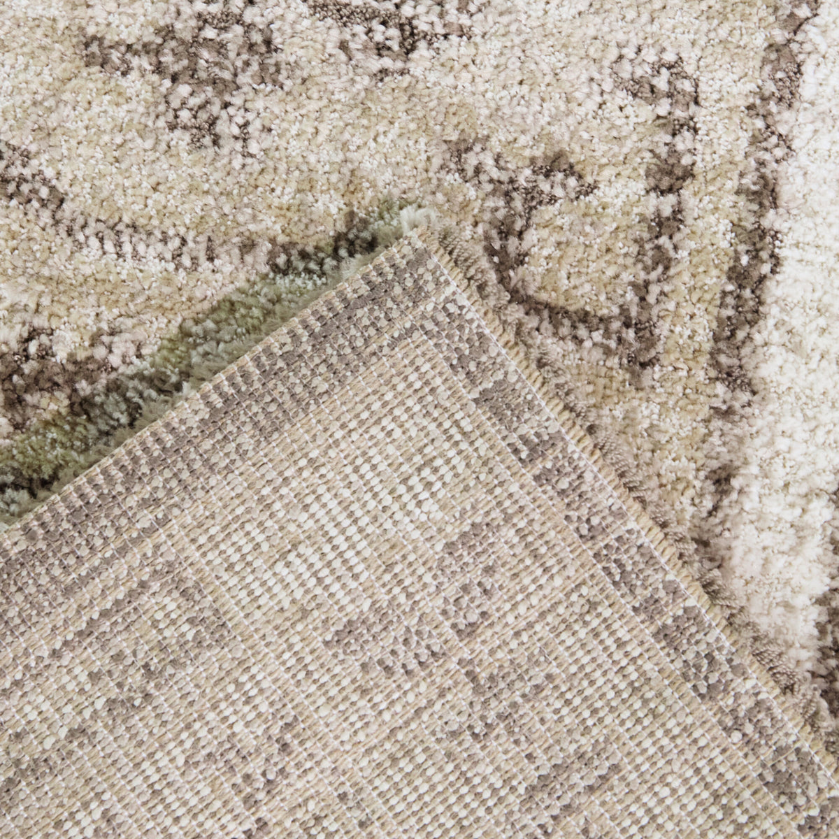 Atkins Traditional Medallion Area Rug