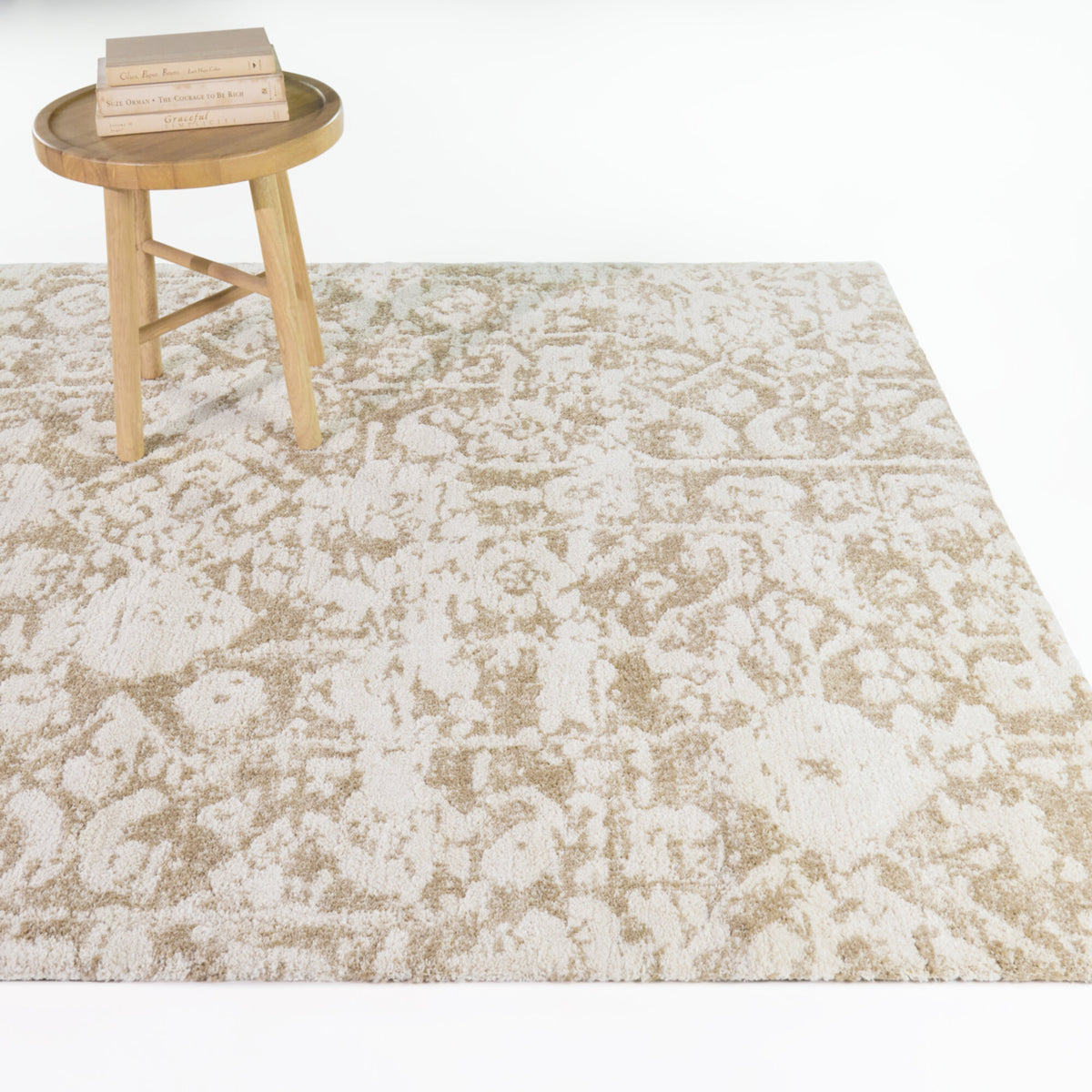 Bandinelli Boho Traditional Area Rug