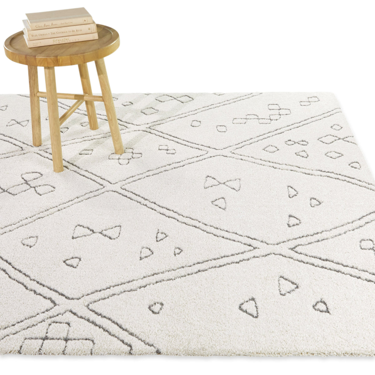 Sabatino Bohemian Area Rug