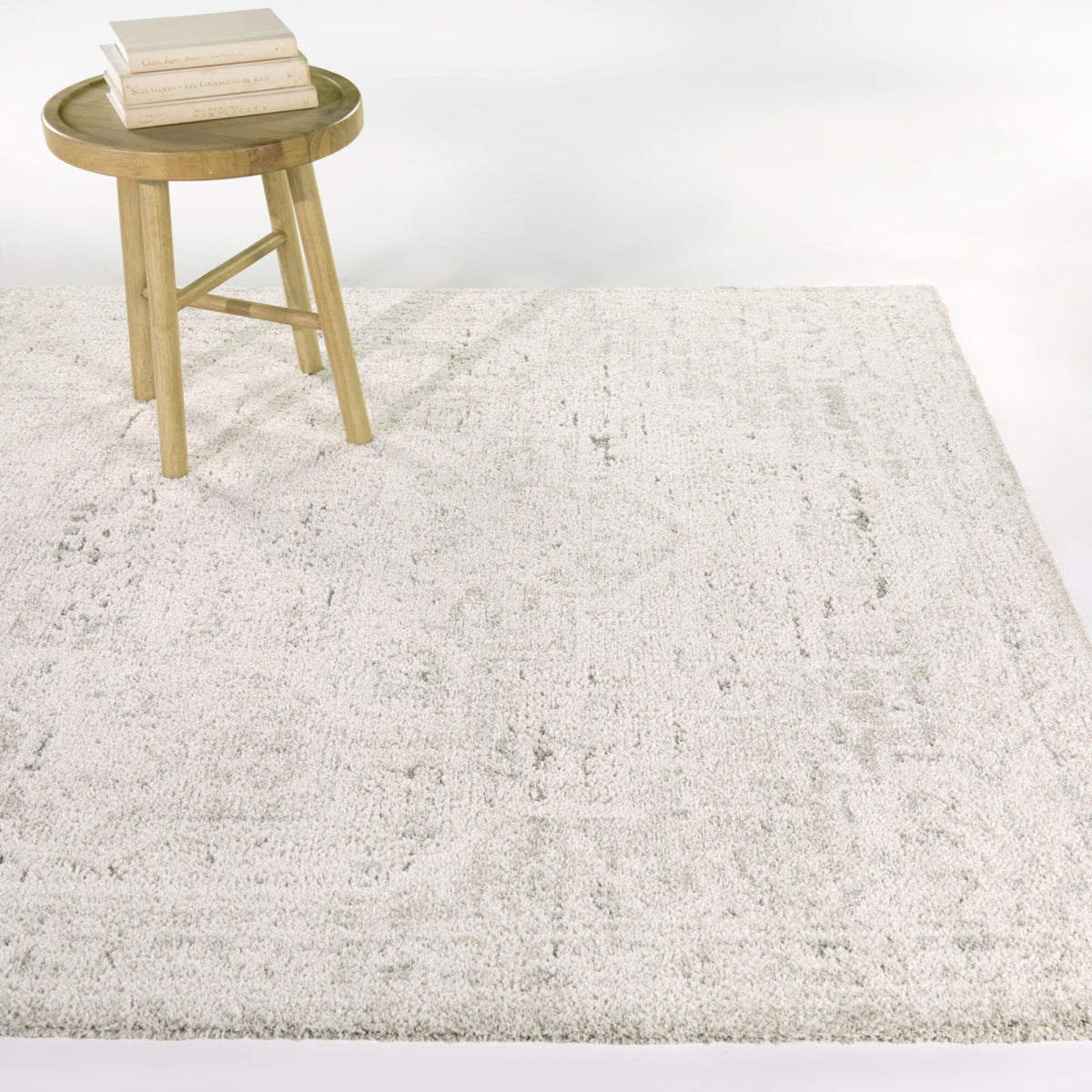 Iacchus Distressed Traditional  Area Rug