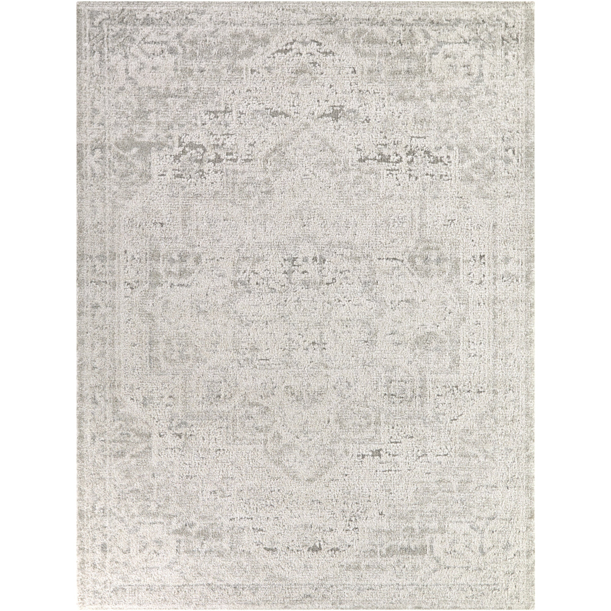 Iacchus Distressed Traditional  Area Rug