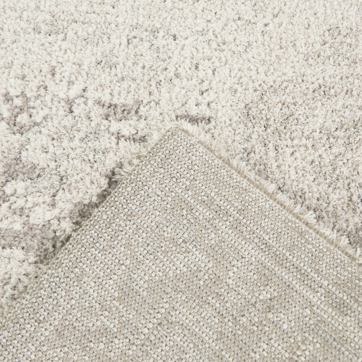 Iacchus Distressed Traditional  Area Rug