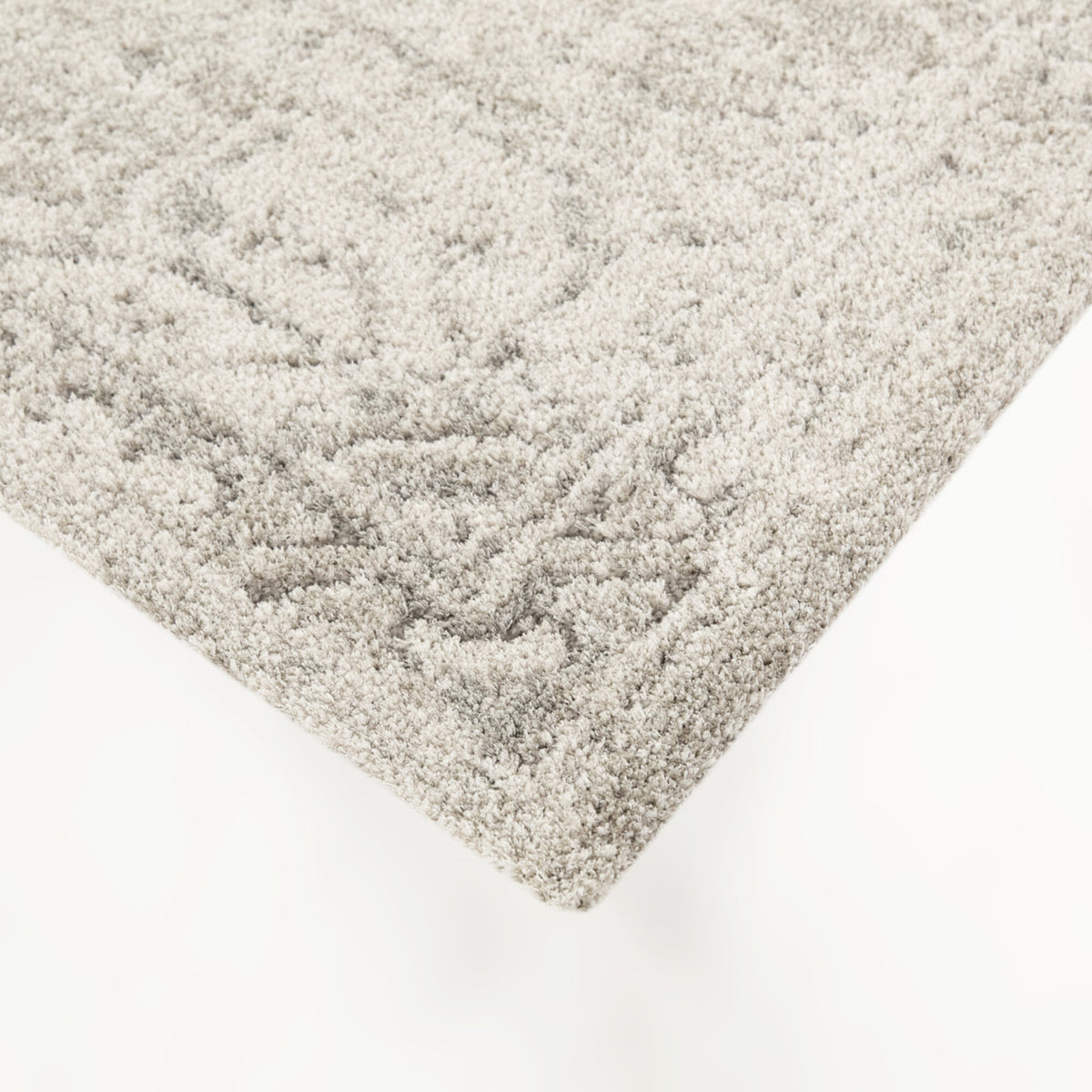 Iacchus Distressed Traditional  Area Rug