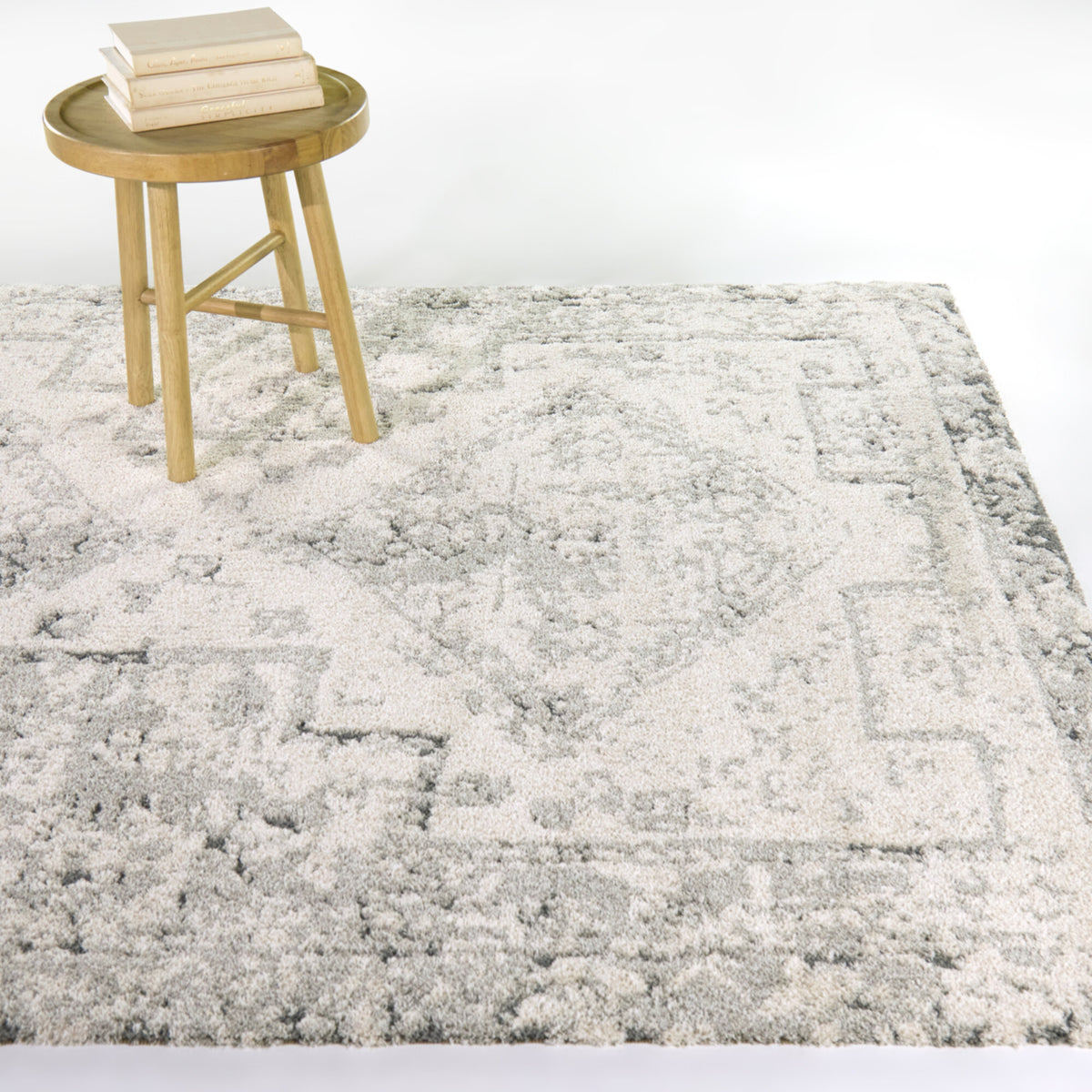 Hilaeira Distressed Traditional  Area Rug