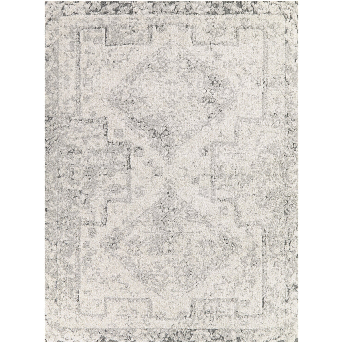 Hilaeira Distressed Traditional  Area Rug
