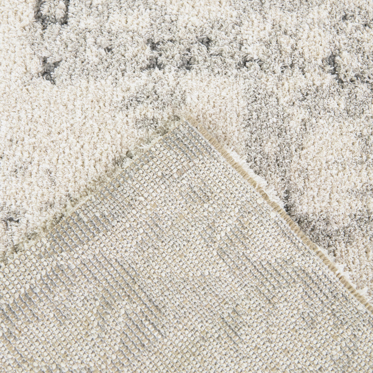 Hilaeira Distressed Traditional  Area Rug