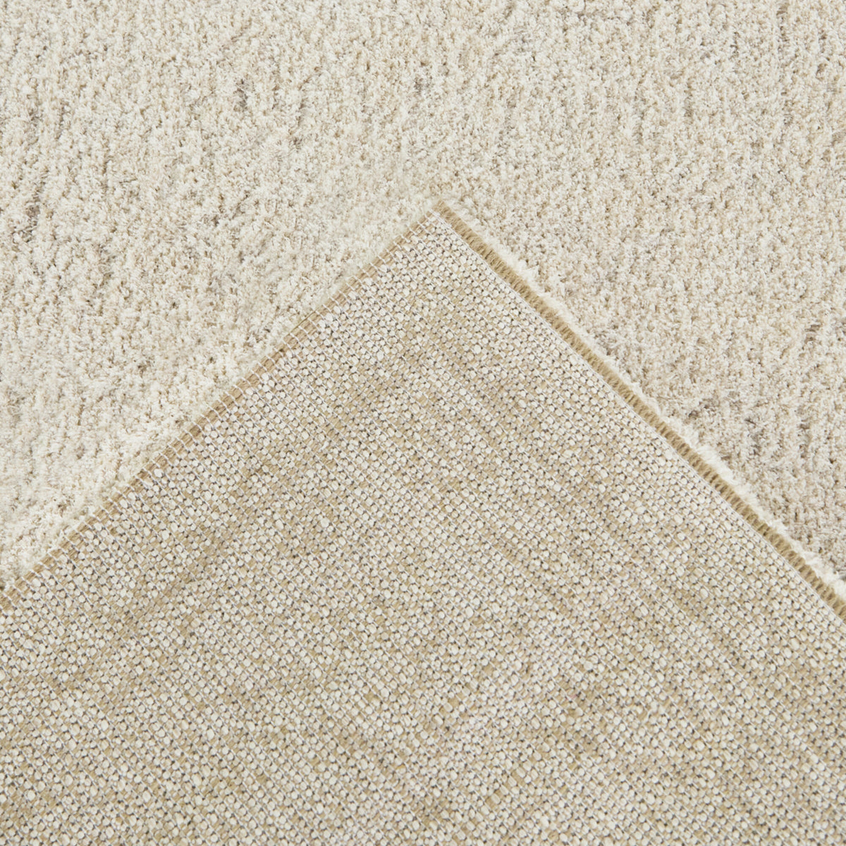 Lycus Distressed Traditional  Area Rug