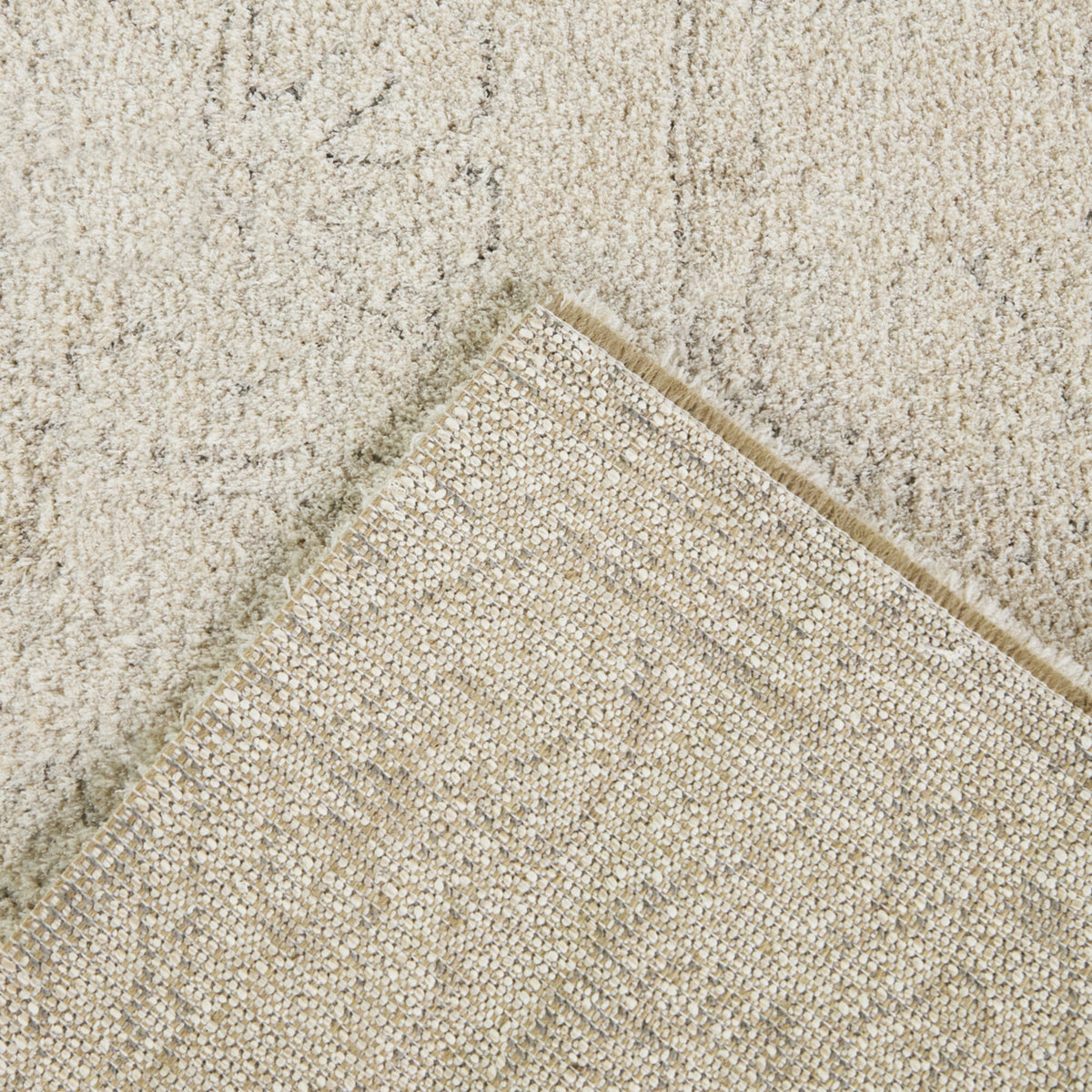 Pelagon Distressed Traditional  Area Rug