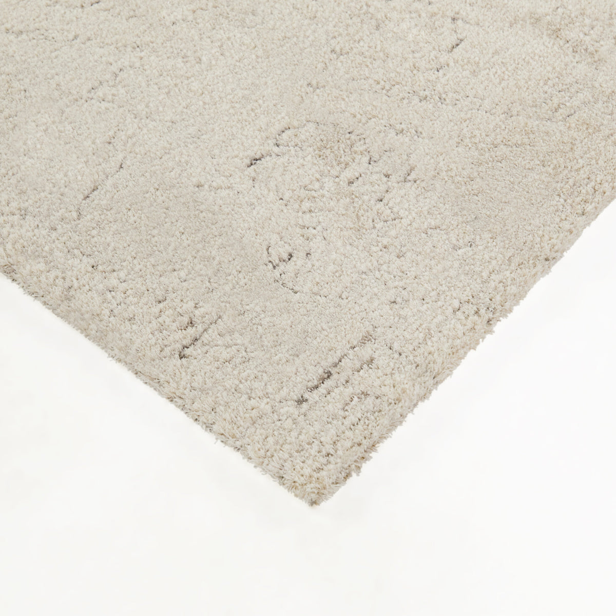 Pelagon Distressed Traditional  Area Rug